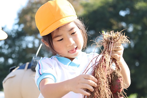 ハットジューンベリー 子ども ストア